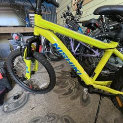 Nishiki 20’ Kids Mountain Bike 