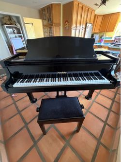 2009 Nordiska Baby Grand Piano