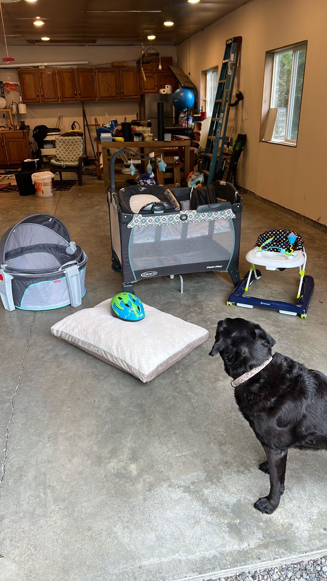 Pack And Play, Baby Done , Walker Dog Bed Walker