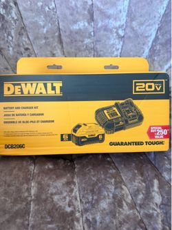 Dewalt battery and charger