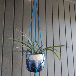 Macrame Plant Hangers