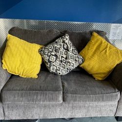 Love Seat And Sofa Bed