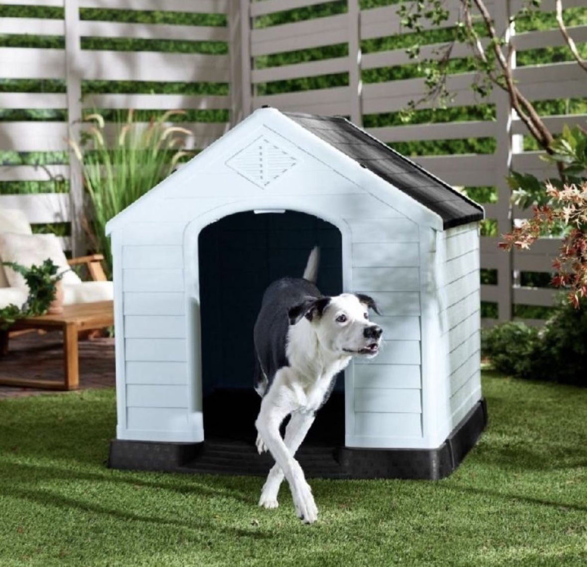 Large Dog House