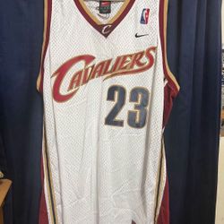 Nike NBA Cleveland Cavs Jersey Lebron James Mens Size XL Rookie 03-04