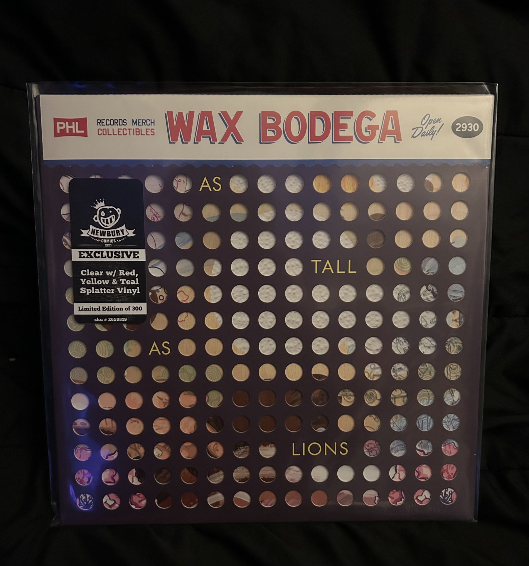 As Tall As Lions Band Vinyl Record