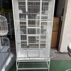Bird Cage