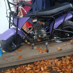2024 Rt 100 Cc Minibike