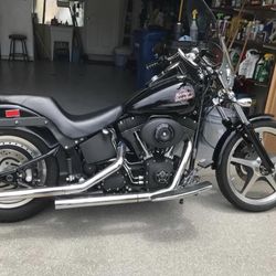 2002 Harley Davidson Night train for Sale in Palm Harbor FL OfferUp