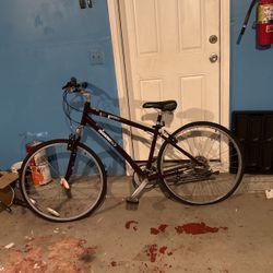 Diamondback Edgewood LX Bike