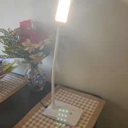 White Touch Desk Light
