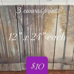 3 Canvas Prints 