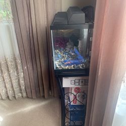 Fish Tank