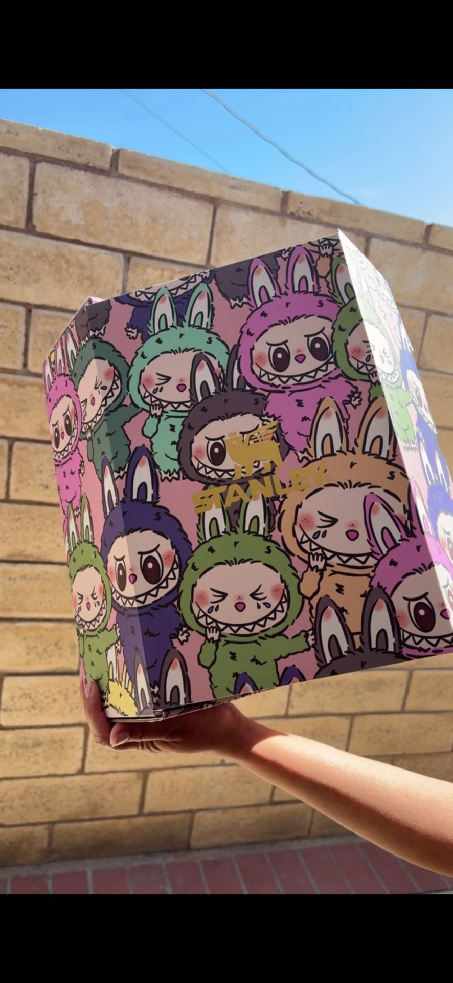Special Edition labubu Set New