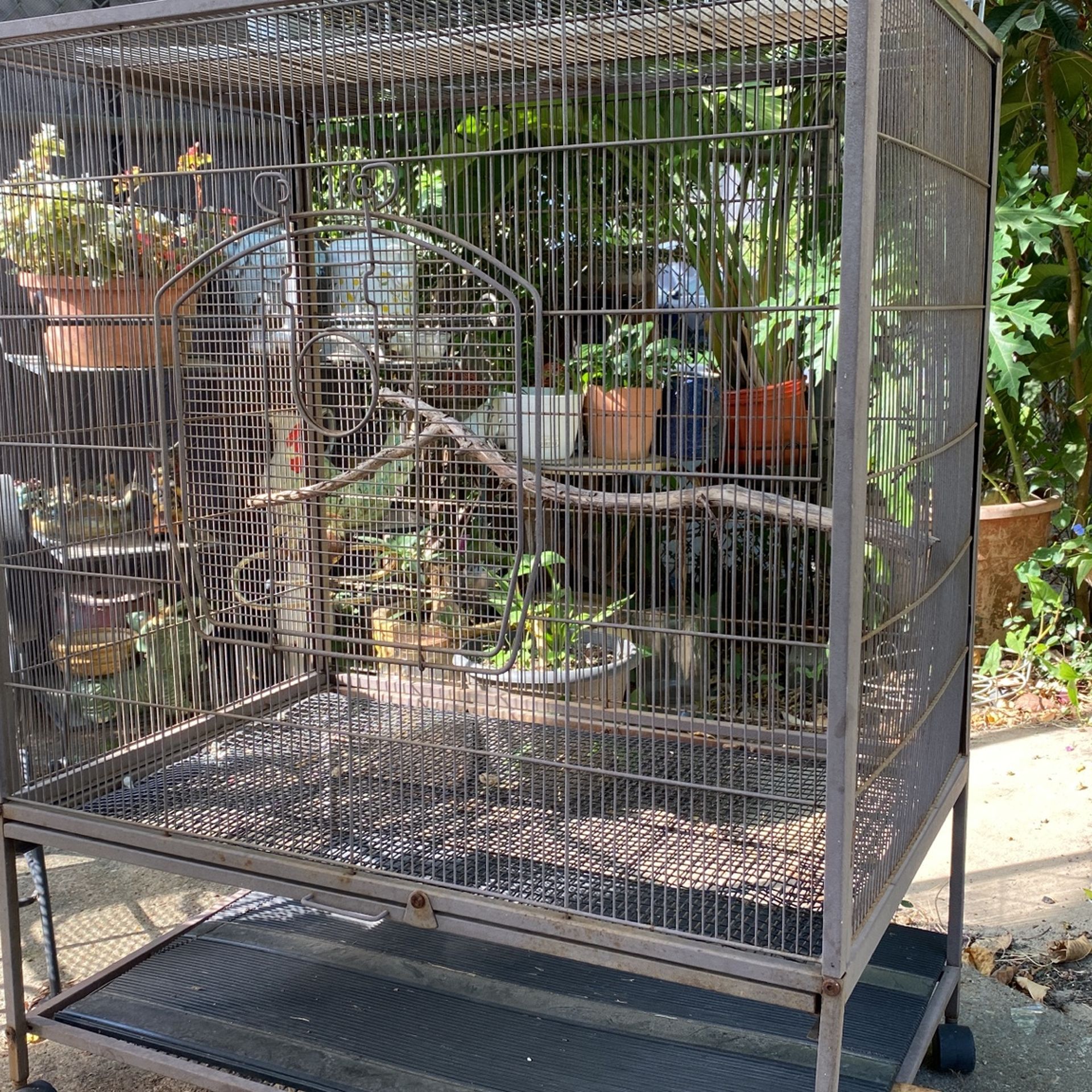Bird. Cage. 31 X 28 X20