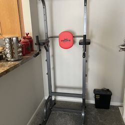 Chin-up/Dips Bar Exercise Station