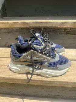 Dior B22