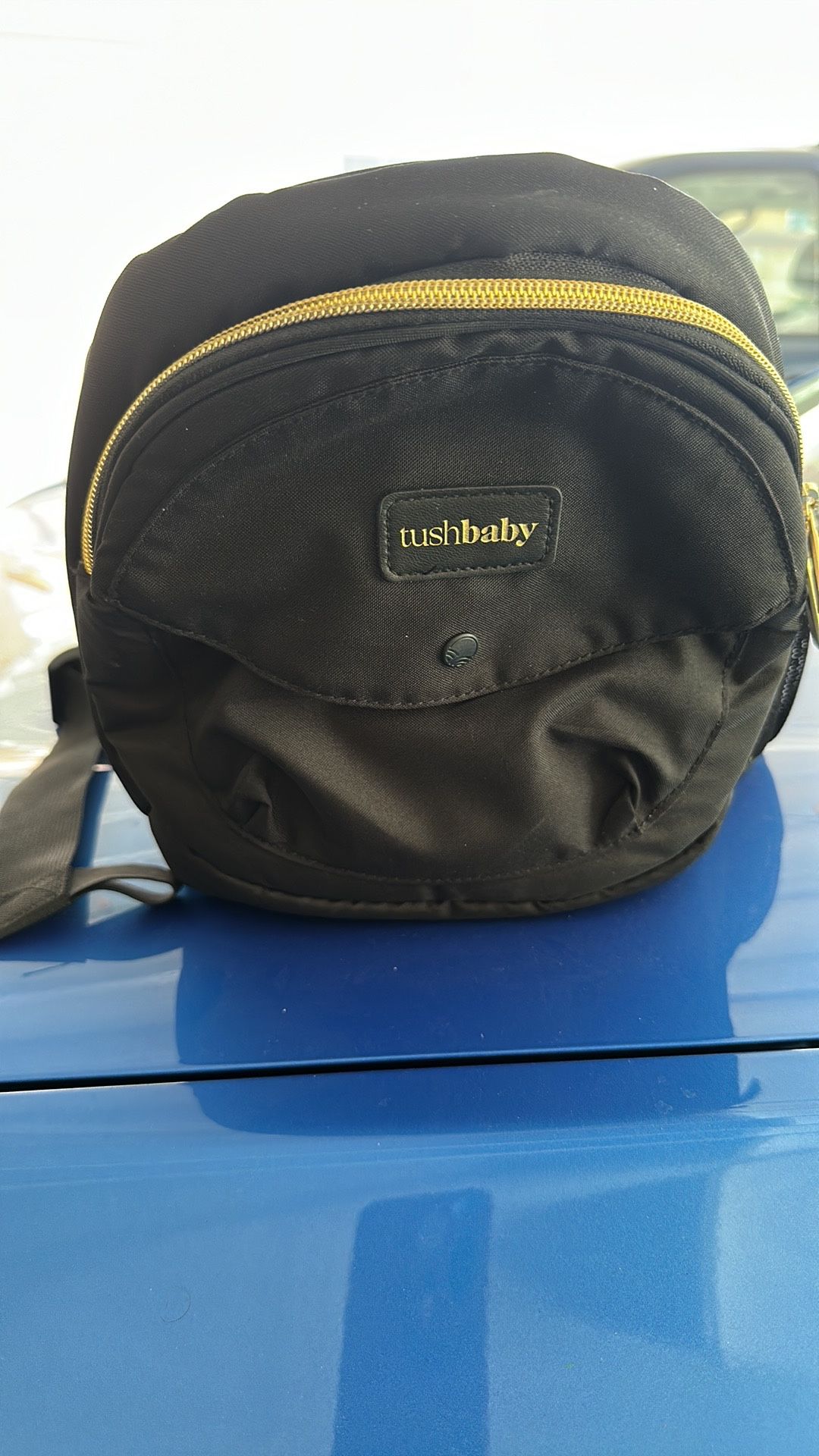 Baby hip carrier