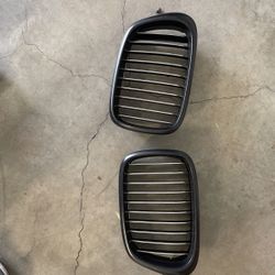 E39 BMW Grills