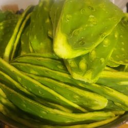 Fresh Cut And Peeled Cactus