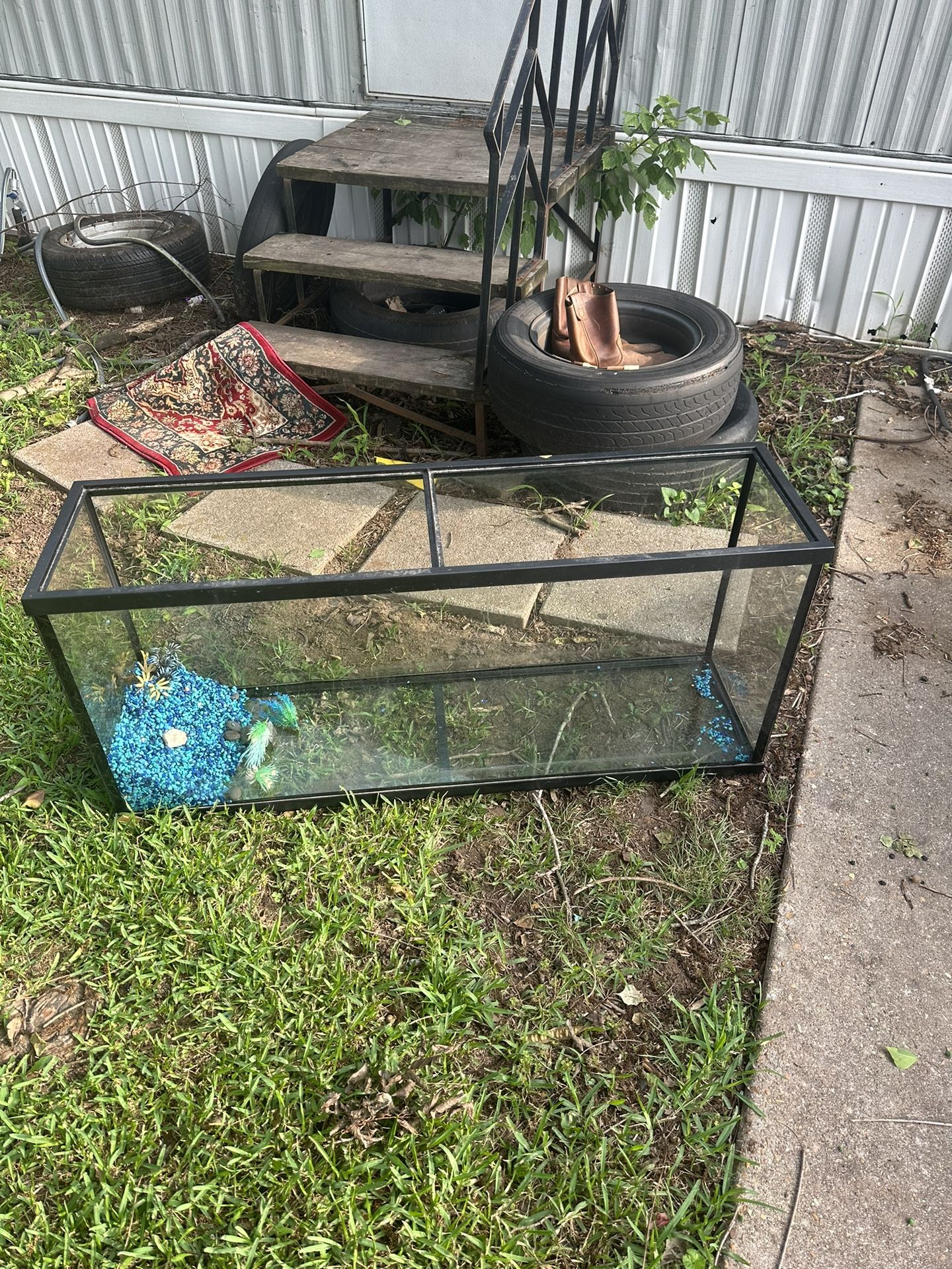 Fish Tank 