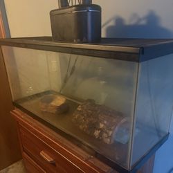 (very Negotiable) 40 Gallon Breeder Tank