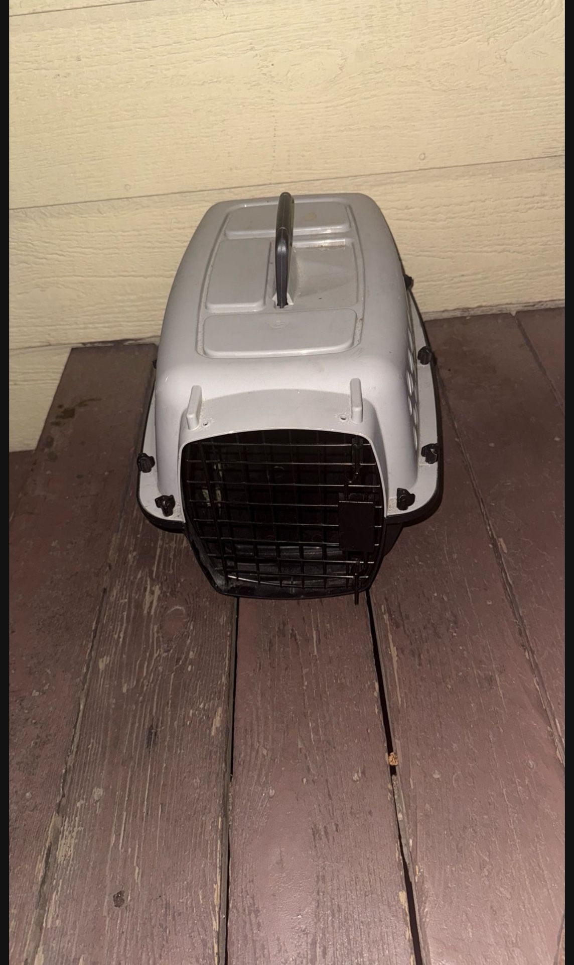 Kennel