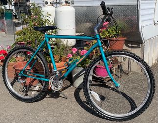 Mountain Bike