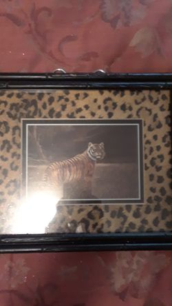 Tiger Print