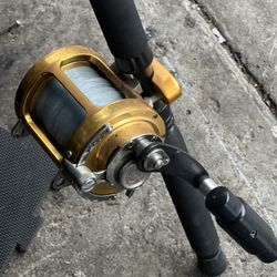 Fishing Rod 