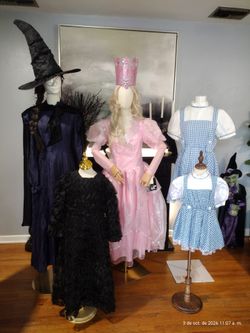 Wizard Oz Halloween costume