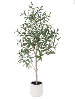 Small fig tree - fake