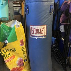 Everlast punching bag