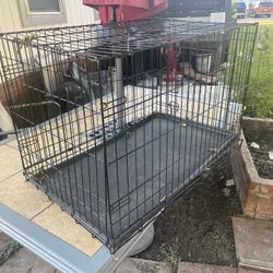 dog  cage 