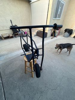 Mini bike roller