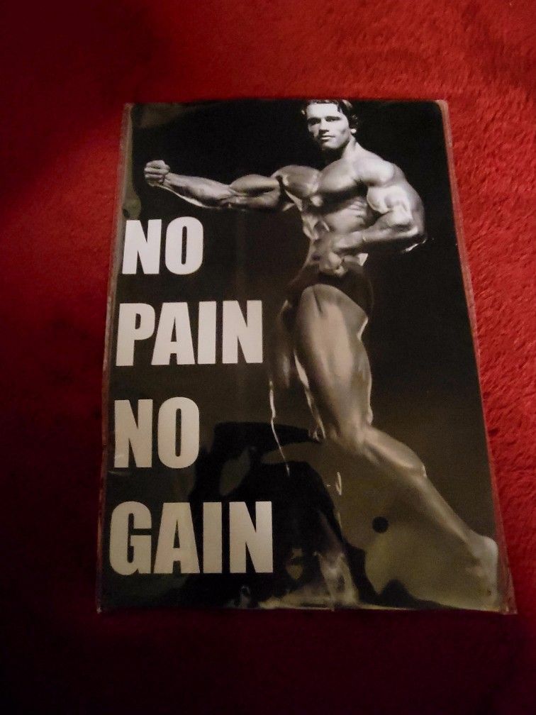 NWT VINTAGE ARNOLD SWARZENEGGER NO PAIN NO GAIN GYM POSTER