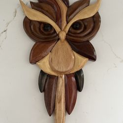 Colorful Funky Owl Wood Art Wall Hanging Decor