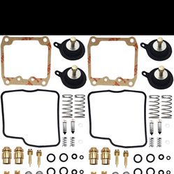 2-Pack Carburetor Repair kit