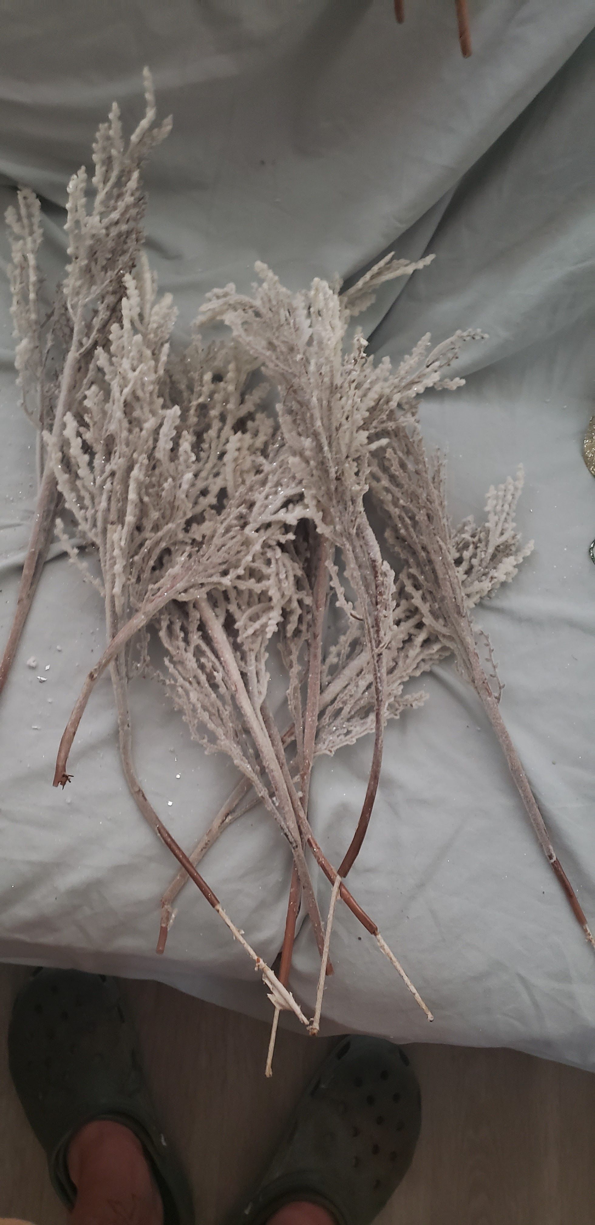 Conifer crafting supply