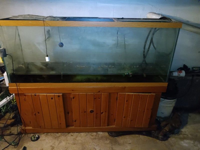 100 Gallon Fish Tank 