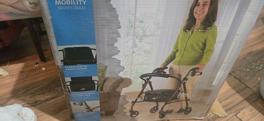 Silla para caminar