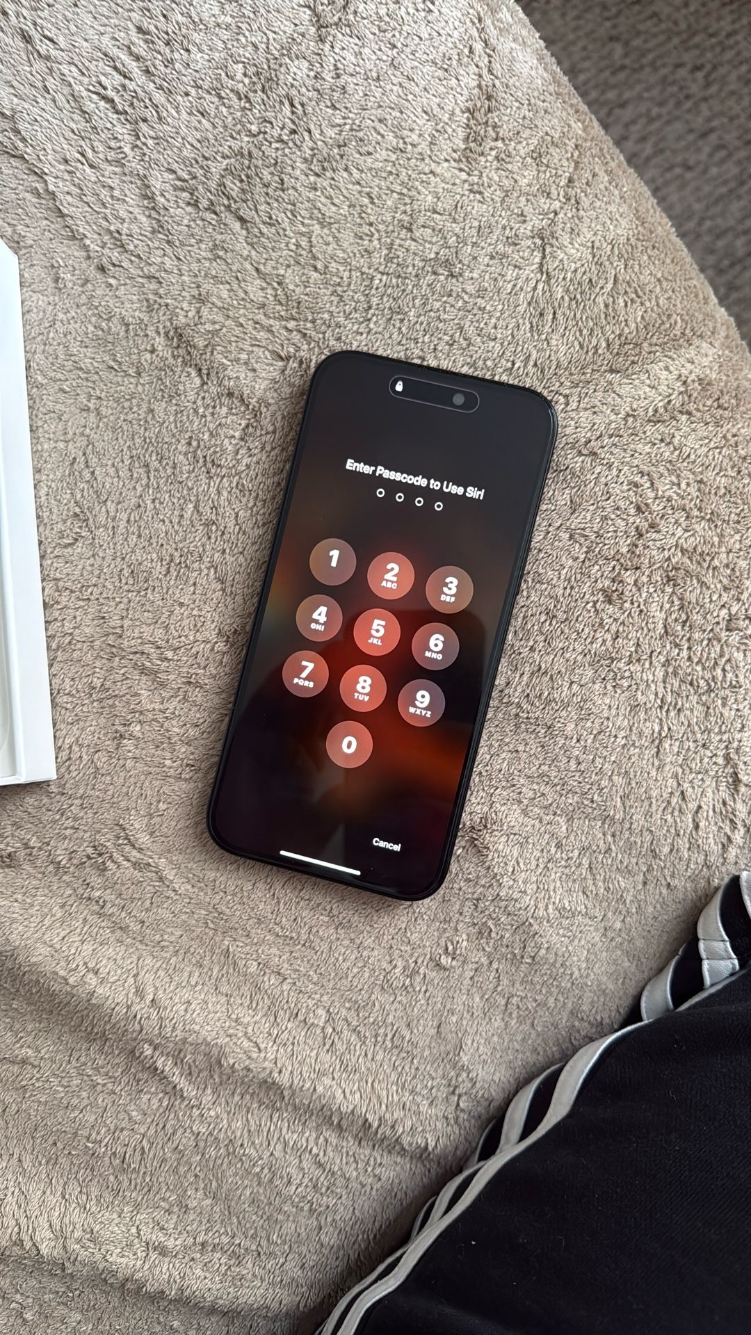 iPhone 15 Plus