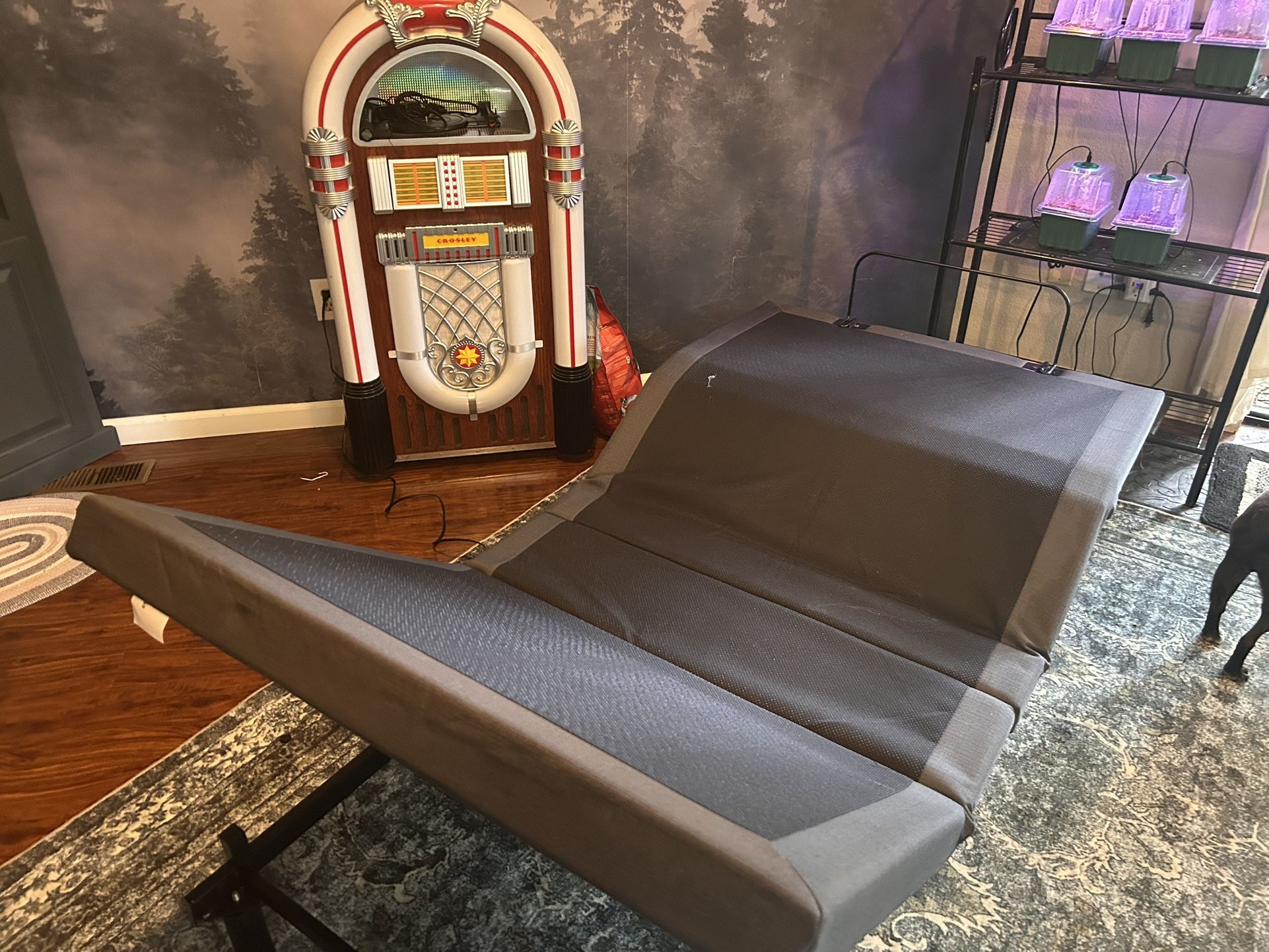 Adjustable twin bed frame with Mattress