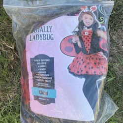 Ladybug Costume