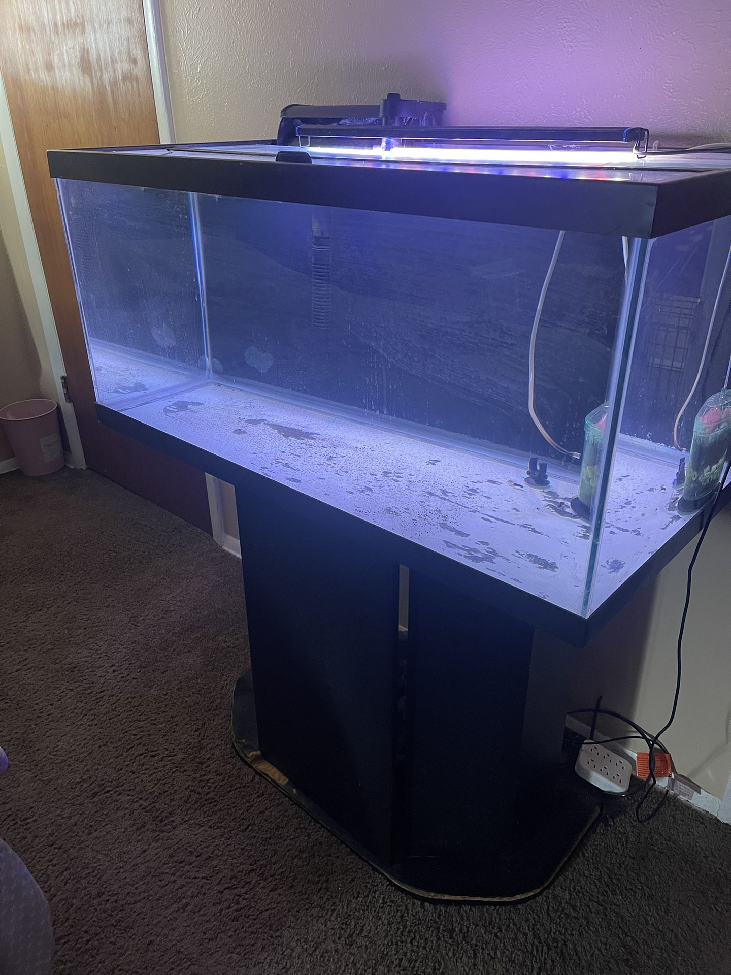40 Gallon Fish Tank Holds Water 