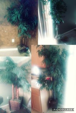Artificial Palm tree set
