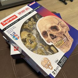 Supreme 4d Human Skull 