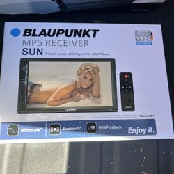 Blaupunkt Double Din Radio 