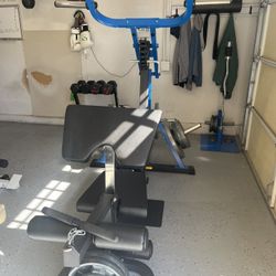 Home Gym- Weight Bench