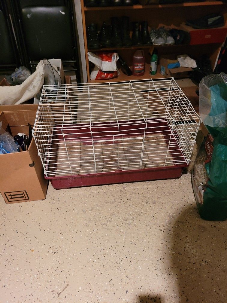 Guinea Pig Cage Eith Water Bottle, Timothy Hay, And Pine Bedding