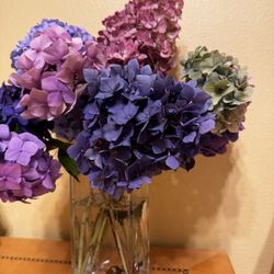 Color Full Hydrangeas Bouquet 💐 Fresh Cutting 